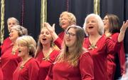 Holiday Harmony Concert 12-15-24